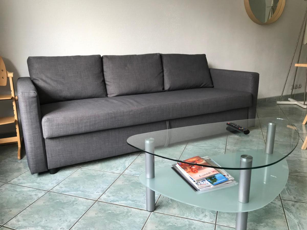 Les Iles - Parking, Balcon, Netflix & Ps4! Apartment Annecy Luaran gambar